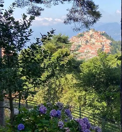Melosa *